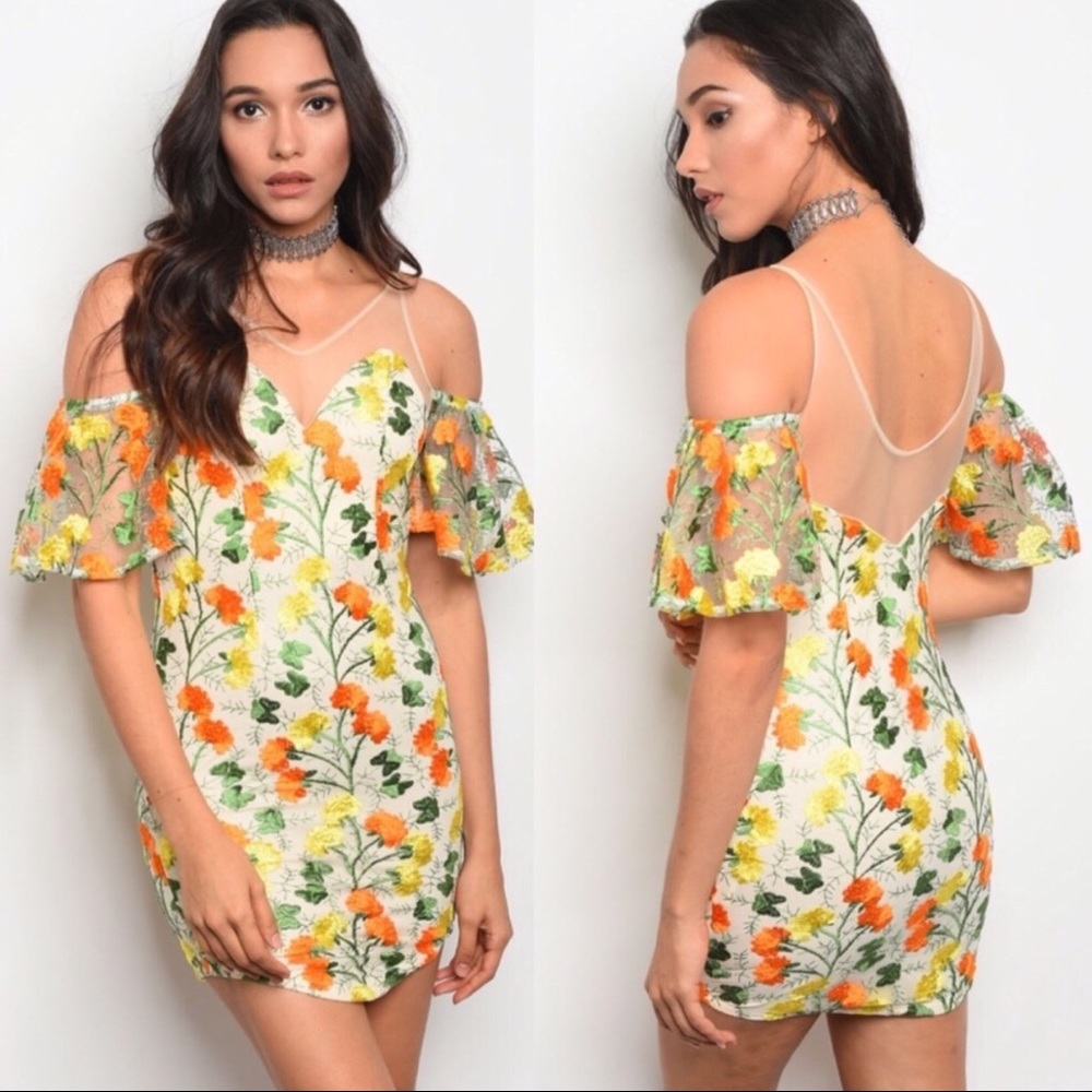 Floral & Mesh Mini Dress